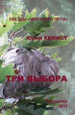 Юрий Кемист - Три выбора - Читать 📖 Читать онлайн 👀 Читаемые книги читать онлайн бесплатно 🔥 booksread-online.com