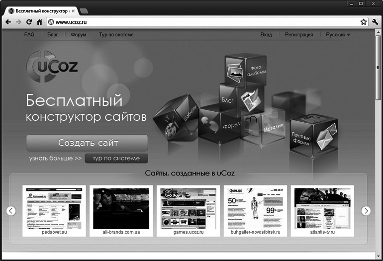 Как сделать свой сайт и заработать на нем. Практическое пособие для начинающих по заработку в Интернете - i_010.png
