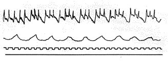 Болезни собак - i_004.png