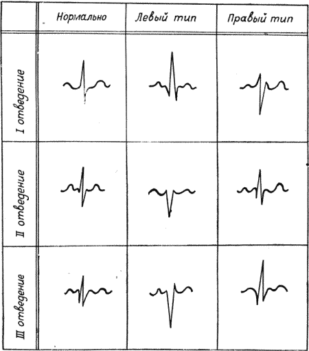 Болезни собак - i_006.png