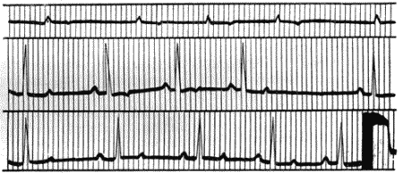 Болезни собак - i_008.png