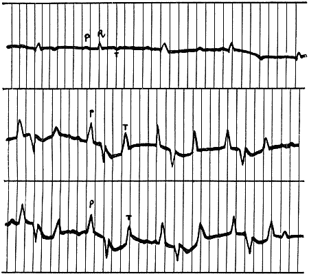 Болезни собак - i_009.png
