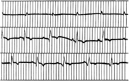 Болезни собак - i_010.png