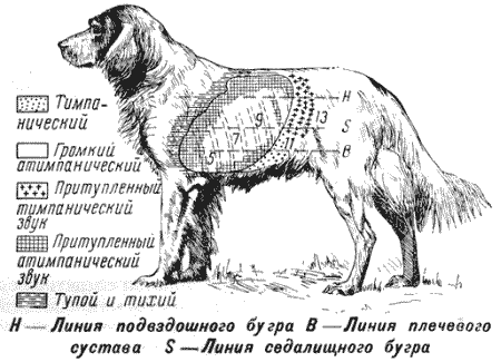 Болезни собак - i_011.png