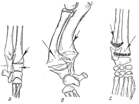 Болезни собак - i_030.png