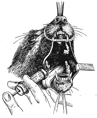 Болезни собак - i_072.png
