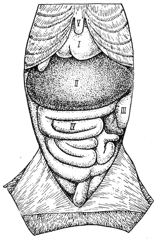 Болезни собак  - i_093.png