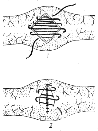 Болезни собак  - i_095.png