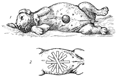 Болезни собак  - i_096.png