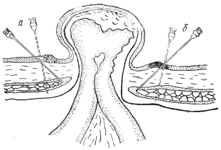 Болезни собак  - i_098.png