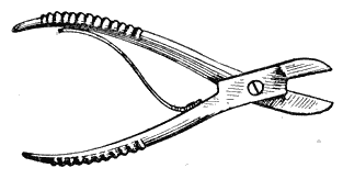 Болезни собак  - i_112.png