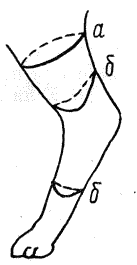 Болезни собак  - i_115.png
