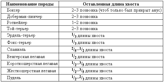 Болезни собак  - i_116.png