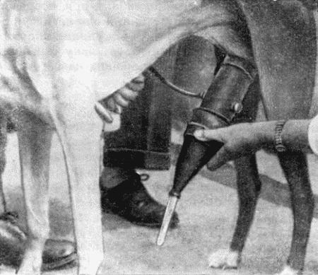 Болезни собак  - i_120.jpg