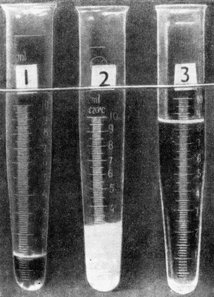 Болезни собак  - i_121.jpg