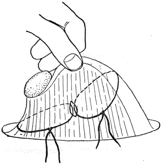 Болезни собак - i_164.png