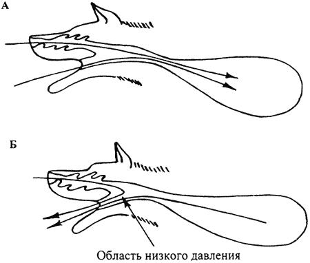 Кинологическое обеспечение деятельности органов и войск МВД РФ - i_024.png