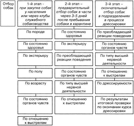 Кинологическое обеспечение деятельности органов и войск МВД РФ - i_054.png