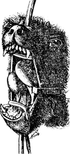 Болезни собак. Краткое руководство. Наружные болезни - i_049.png