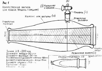 Искусственное осеменение собак - i_001.png