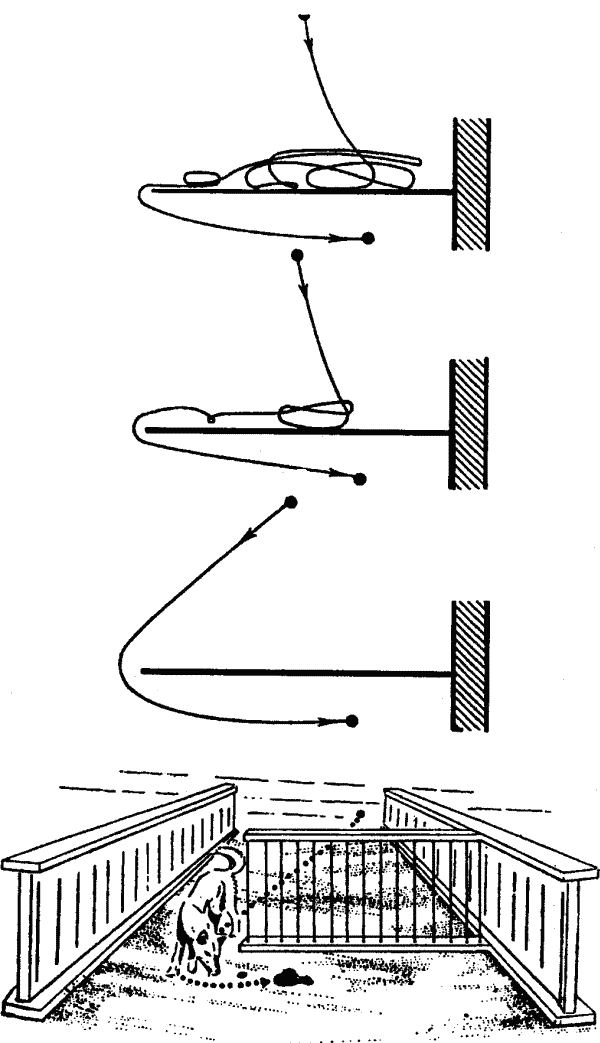 Основы зоопсихологии - i_003.png