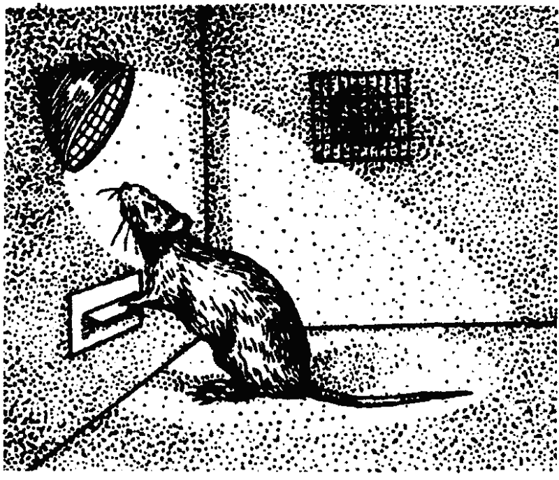 Основы зоопсихологии - i_013.png