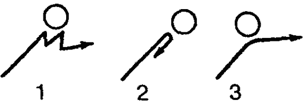 Основы зоопсихологии - i_029.png