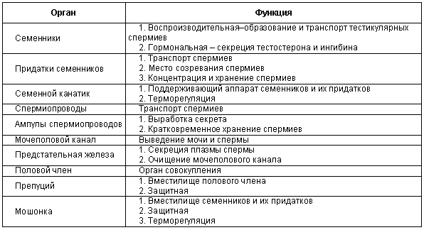 Физиология размножения и репродуктивная патология собак - i_008.png