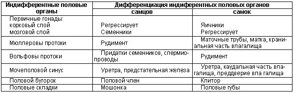 Физиология размножения и репродуктивная патология собак - i_009.png