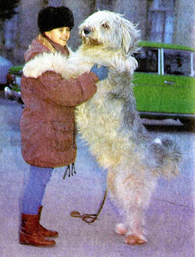 Допинги в собаководстве - i_037.jpg