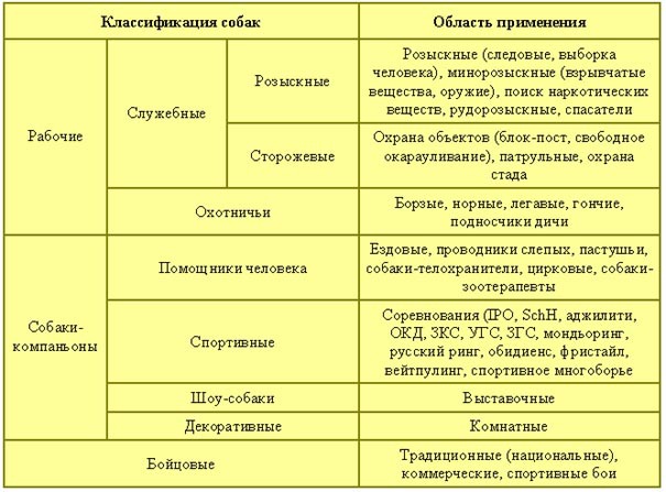 Лечебная кинология. Теоретические подходы и практическая реализация (с иллюстрациями) - pic_13.jpg