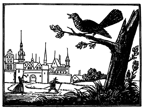 Шельмуфский - pic_5.png