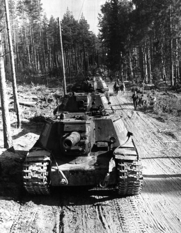 «Зверобои». Убийцы «Тигров» - i_002.jpg