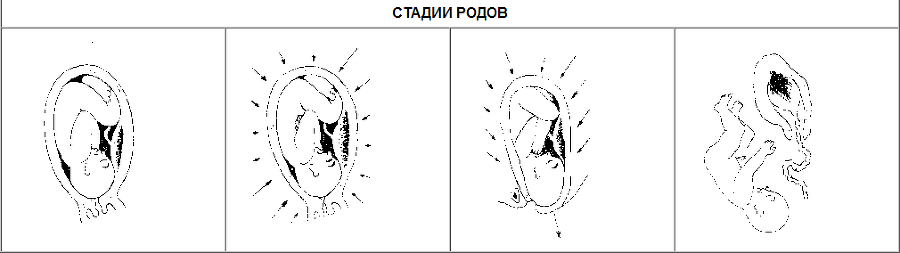 Области человеческого бессознательного: Данные исследований ЛСД - table4.png