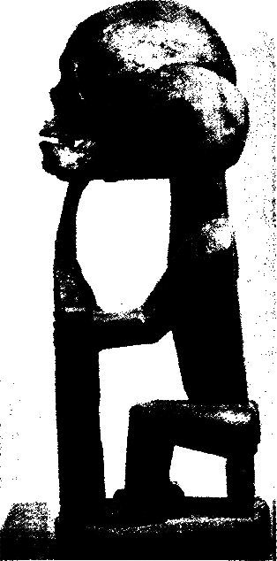 Магия, наука и религия - i_006.png