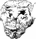 Сверхъестественное. Боги и демоны эволюции - i_037.jpg
