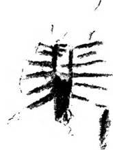 Сверхъестественное. Боги и демоны эволюции - i_055.jpg