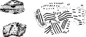 Сверхъестественное. Боги и демоны эволюции - i_057.jpg