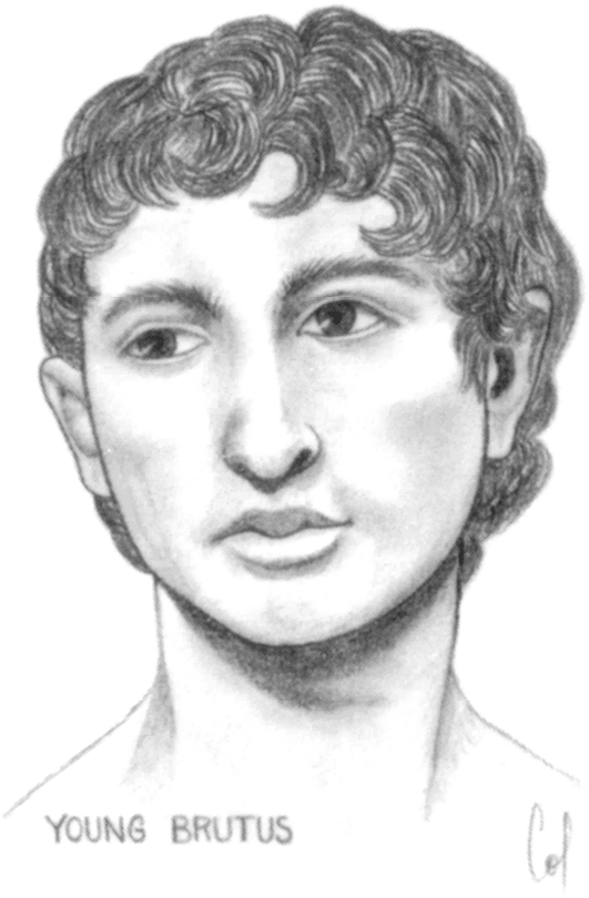 Женщины Цезаря - i_006.png