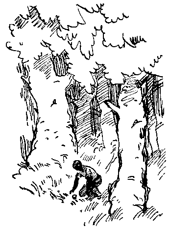 Черный ураган. Честный Эйб - pic_20.png