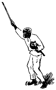 Черный ураган. Честный Эйб - pic_23.png