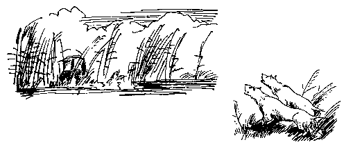 Черный ураган. Честный Эйб - pic_42.png