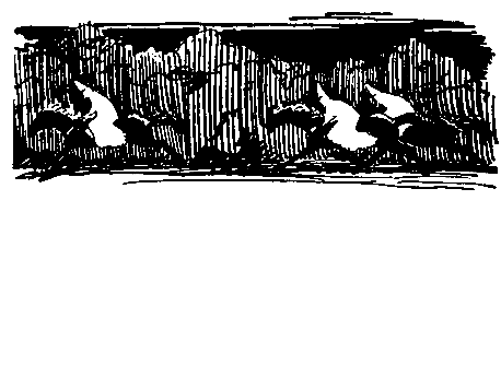 Черный ураган. Честный Эйб - pic_58.png