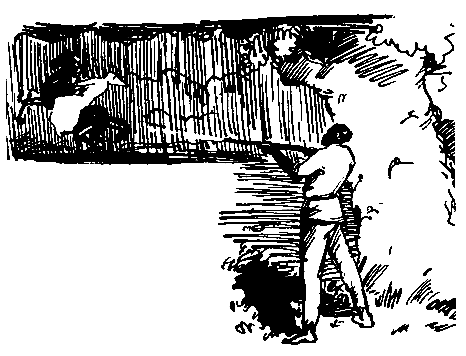 Черный ураган. Честный Эйб - pic_59.png