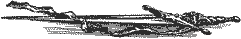 Подземелья Черного замка - i_038.png