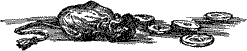 Подземелья Черного замка - i_039.png