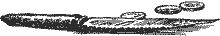 Подземелья Черного замка - i_054.png