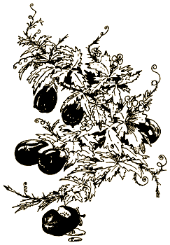 Похищены! - i_014.png