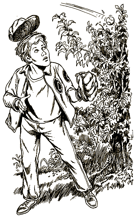 Ты — миллионер - i_003.png