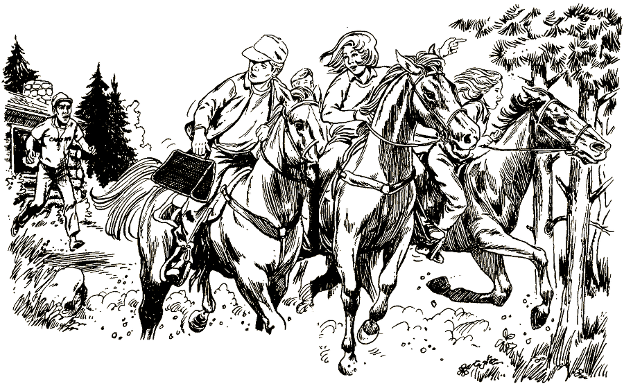 Ты — миллионер - i_018.png